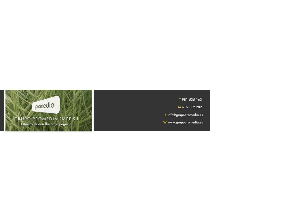 web en desarrollo